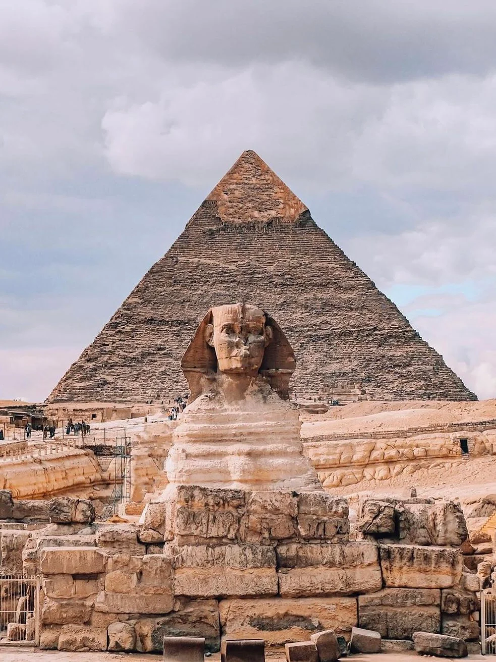 2024年10月埃及開羅國際紡織展覽會(huì) 2024年10月埃及開羅國際紡織展覽會(huì)